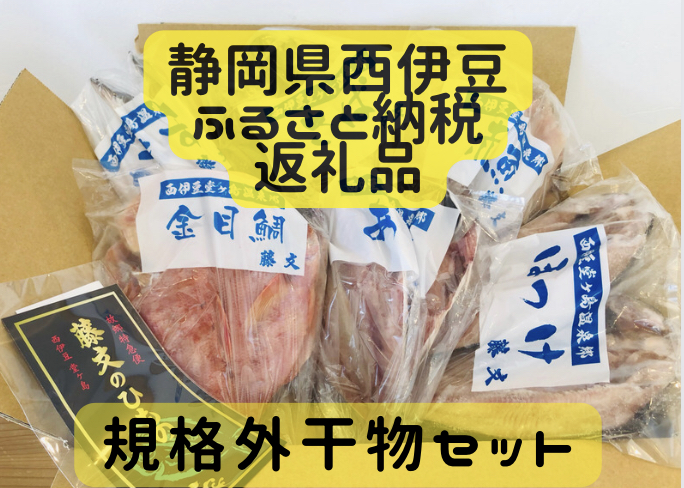 日本 ふるさと納税 西伊豆町 藤文の にっぽんの干物セット