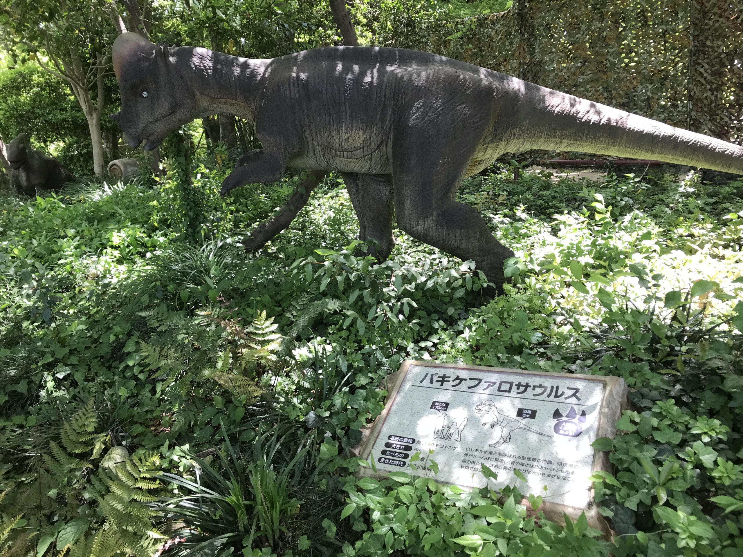 安城デンパーク　恐竜　子連れおでかけ　恐竜のいる公園　愛知県
まったり道の駅巡り　パキケファロサウルス