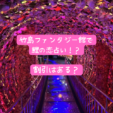 竹島ファンタジー館の口コミ「鯉の恋占い」とは？割引クーポンはある？