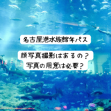 名古屋港水族館　年パスの顔写真は現地で撮るの？どうやって貼るの？簡単にできる方法は？