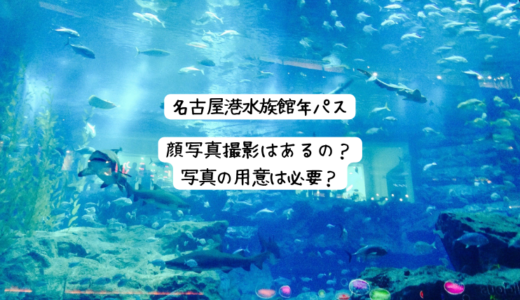 名古屋港水族館　年パスの顔写真は現地で撮るの？どうやって貼るの？簡単にできる方法は？